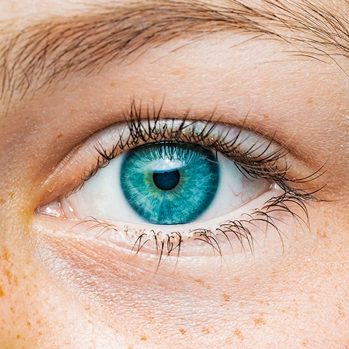 RITMO EMDR Traumatisme - Libourne 33500 (La Cali) - Thérapeute